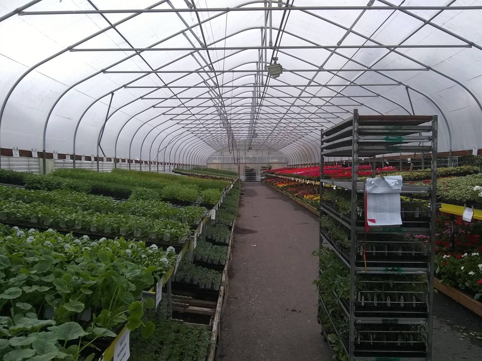 HedgeHunters client-supplied project photo 12