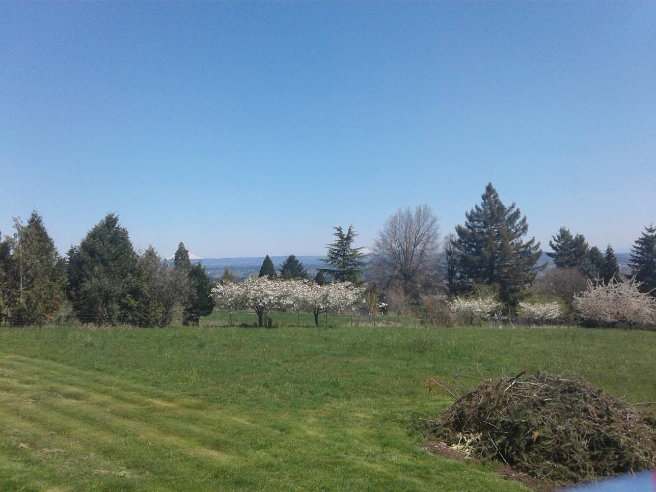 HedgeHunters client-supplied project photo 7